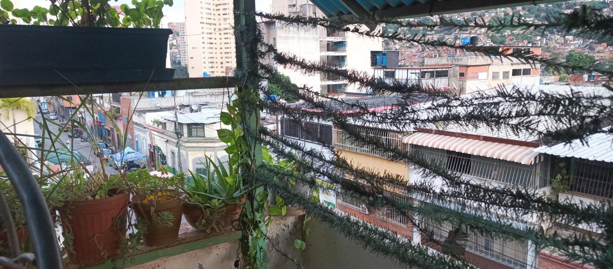 Hotel Don Gato Caracas Ngoại thất bức ảnh